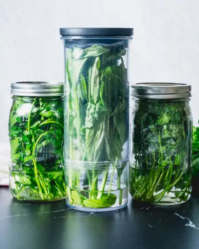 Comment conserver les herbes fraîches
