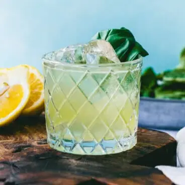 Gin bazalkový šmrnc