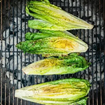 Gegrillter Römersalat