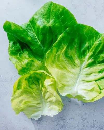 Buttersalat