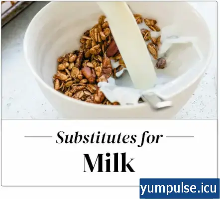 牛乳代替品、最高の牛乳代替品