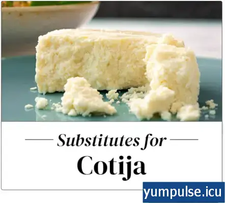 substituto do queijo cotija
