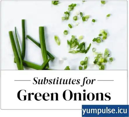 Substitut d'oignon vert | substitut d'oignons verts