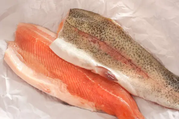 סלמון-קנייה-מדריך-Steelhead-FT.webp