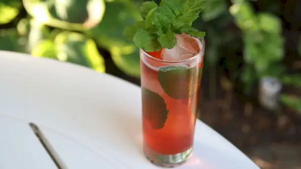 Cocktail di Shurb e soda