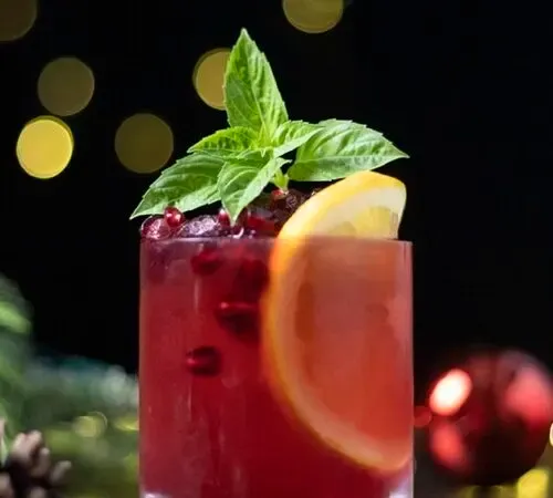 ザクロの種のバジルの葉とオレンジのスライスが入った赤い飲み物。' title=