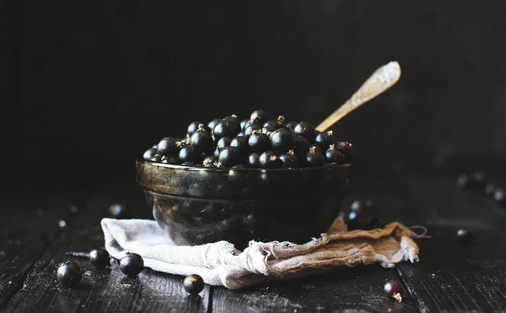 ciotola di ribes nero.' loading='lazy' title=