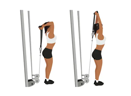 illustration of overhead tricep extension