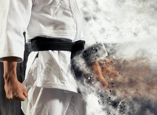 judo concept
