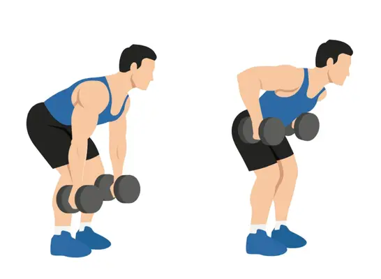 Ab Rollouts, concept of ab workouts for men