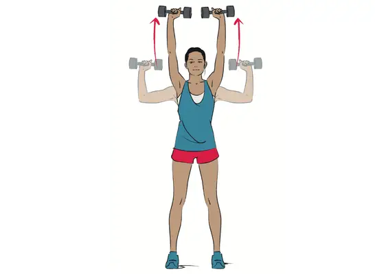 illustration of overhead press lightweight dumbbell exercises