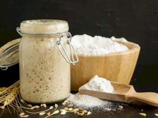 sourdough-starter-shortcut-FT-BLOG0219.webp