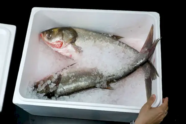 pescado entregado