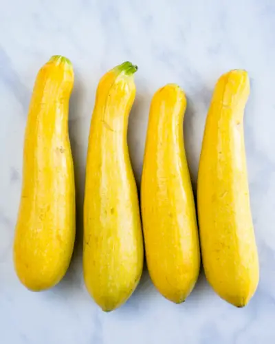 Ricette con zucca gialla, ricette con zucca estiva