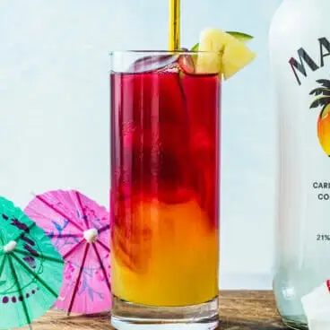 Brisa da Baía de Malibu