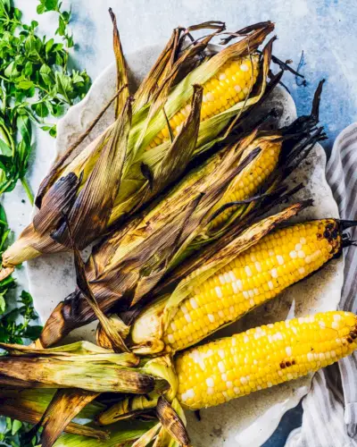 Receitas grelhadas