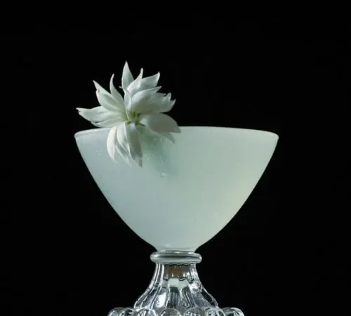 um coquetel branco em um copo cupê com enfeite de flor branca.' title=