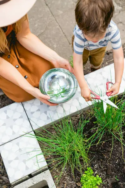 Jardin d'herbes aromatiques