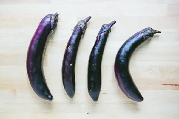Berinjela japonesa