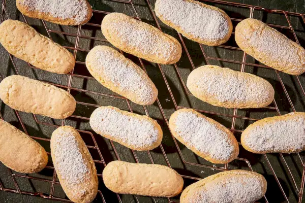 Lengua de gato