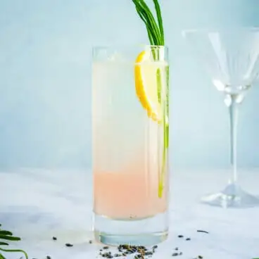 Coquetel de lavanda