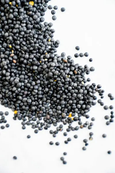 Que sont les lentilles noires