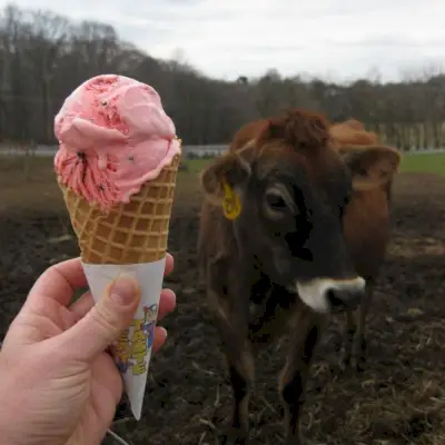 Beste Eisdielen in den USA: Hockessin