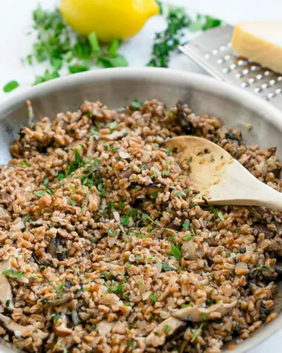 Panela de farro cozido
