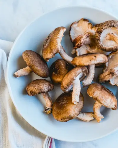 Funghi shiitake