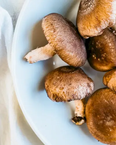 Funghi shiitake