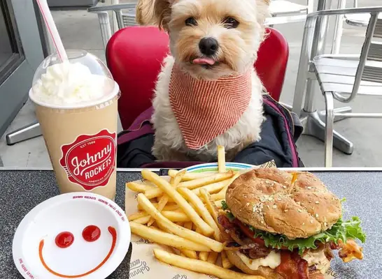 Johnny Rockets Dog Burger safe