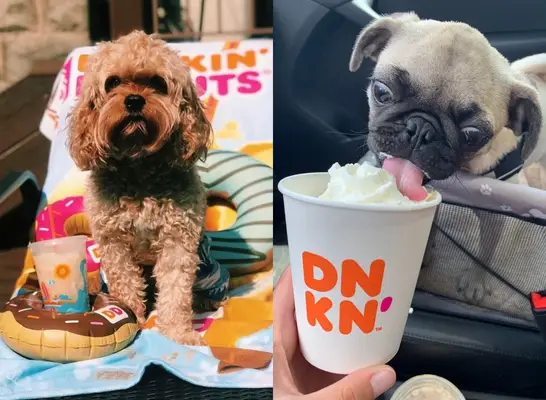 Dunkin