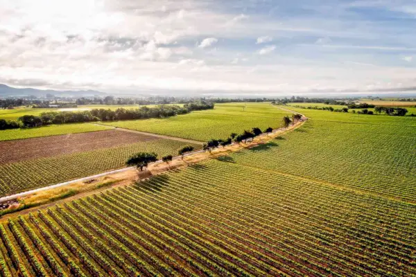 Vignobles de Sangiacomo