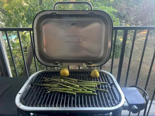 Elektrický gril Weber Lumin
