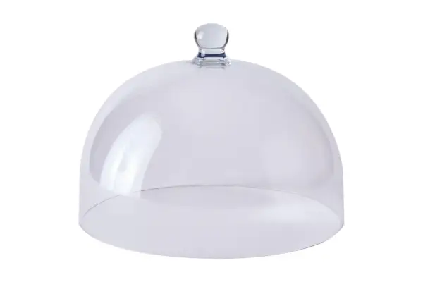 Food52 Revol Porcelain France 飛散防止ポリカーボネート ケーキ クロッシュ