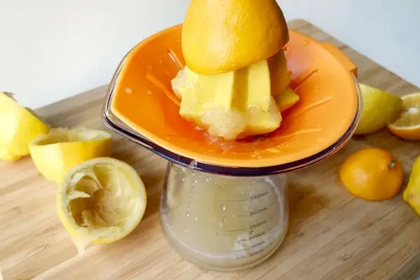 Exprimidor de cítricos Chefân Juicester