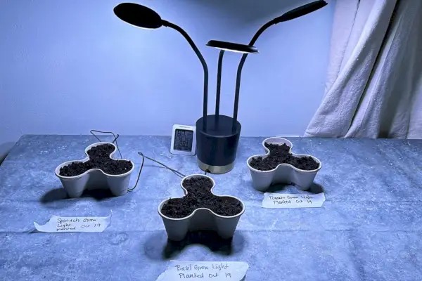 AeroGarden Trio Grow Light sentado sobre plantas
