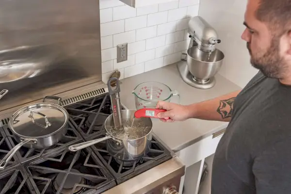 ThermoWorks Thermapen ONE