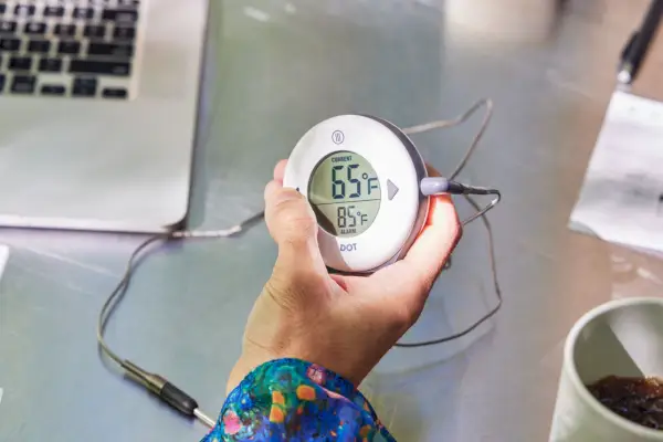 Frau hält das ThermoWorks-Punktthermometer