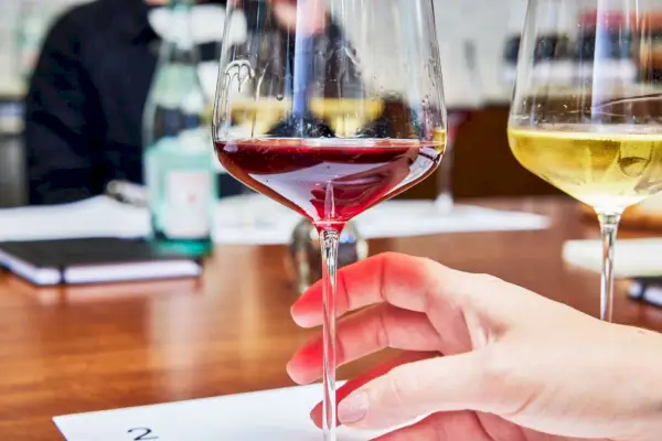 Zalto DenkâArt Universal Wine Glass 내부의 레드 와인 클로즈업