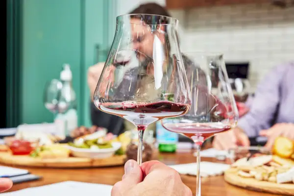 레드 와인이 담긴 Zenology Somm Pinot Noir Hand Blown Wine Glass를 들고 있는 손