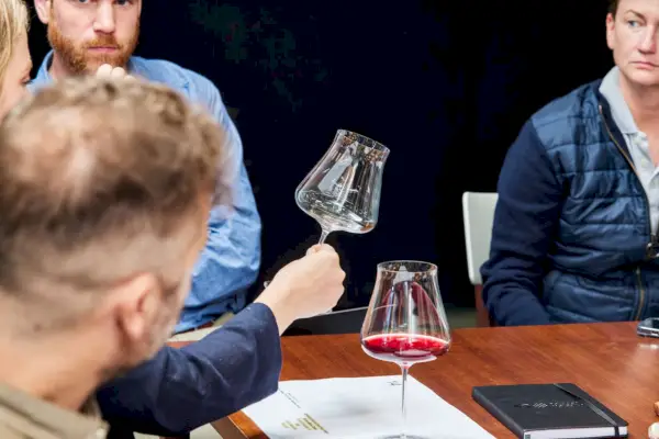 Zenology Somm Pinot Noir 손으로 불어 만든 와인 잔을 보고 있는 사람들의 그룹