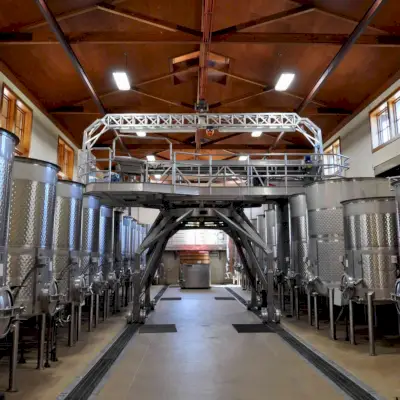 Viñedos Lemelson
