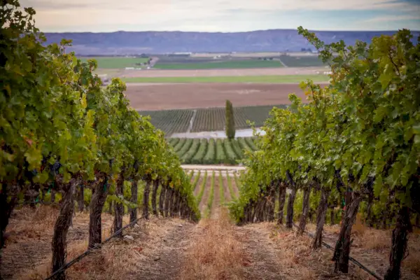 Mullan Road Cellars, היקבים הטובים ביותר במדינת וושינגטון
