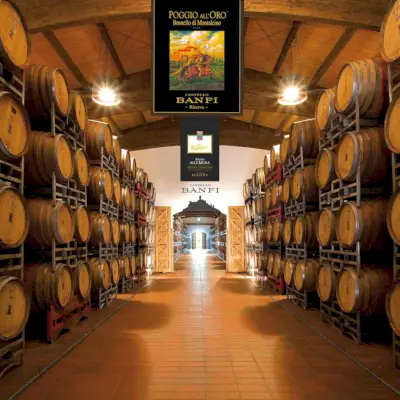 Hrad Banfi