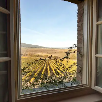 Castiglione del Bosco