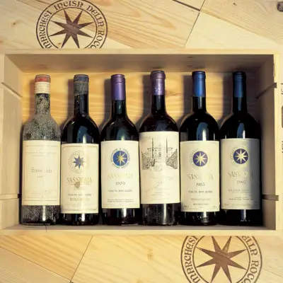 Tenuta San Guido