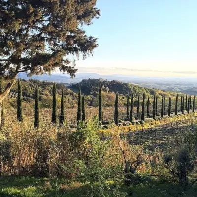 Castellare di Castellina