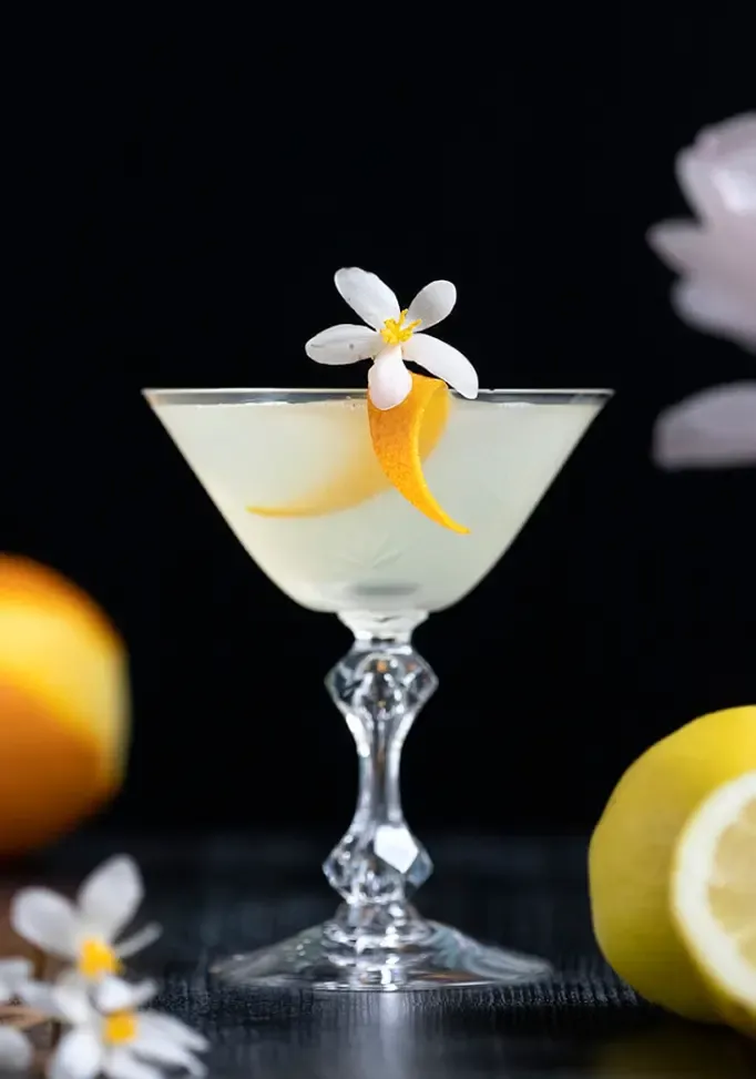 Rianimazione del cadavere 2