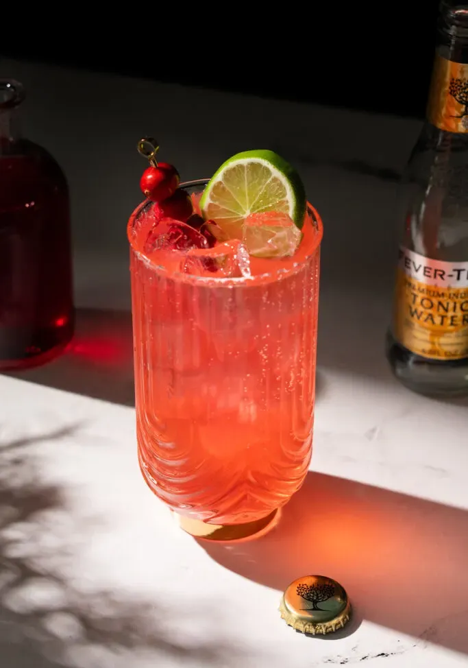 Cranberry Aquavit & Tonic